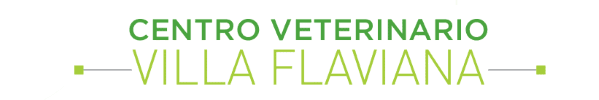 Struttura veterinaria cliente 1