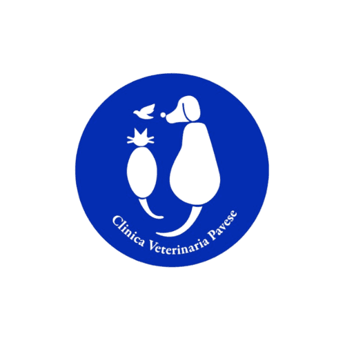Struttura veterinaria cliente 10