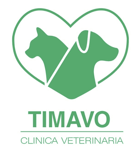 Struttura veterinaria cliente 2