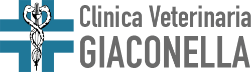 Struttura veterinaria cliente 5