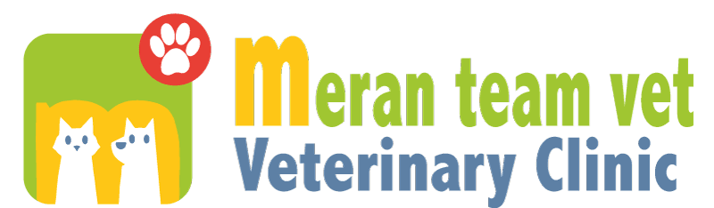 Struttura veterinaria cliente 8