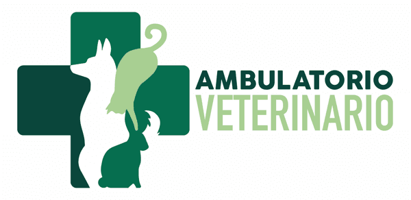 Struttura veterinaria cliente 9